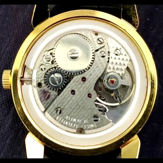 Vintage Roamer Shock Proof Hand Wind Swiss Watch Restored Serviced Gld-Blk-Blk - Image 6