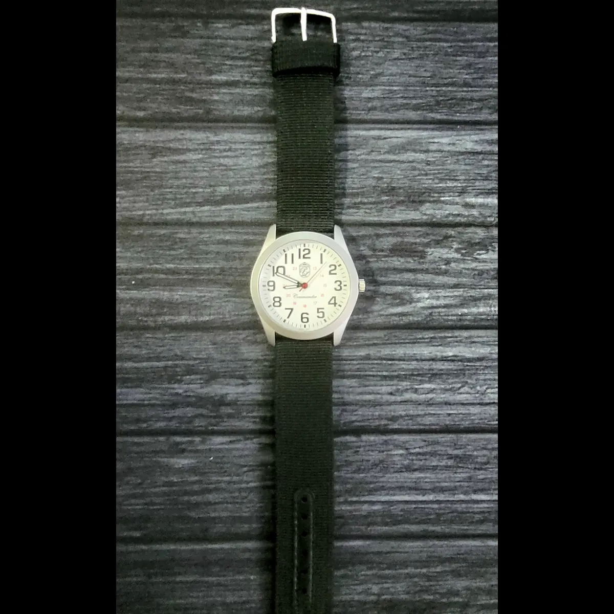 Authentic Pierre Lucerne Commander Railroad Style White Dial Watch - Image 5
